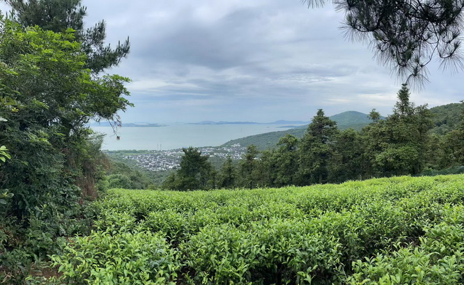 上海留学生落户，申请常见问题答疑