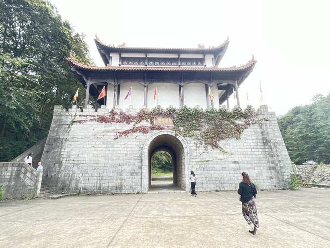 人才引进落户上海临港,