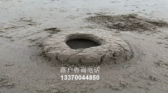 最新！经上海市政府同意，重要措施公布！3.5亿元奖
