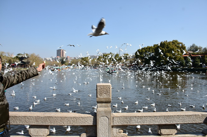 澳大利亚留学,undefined