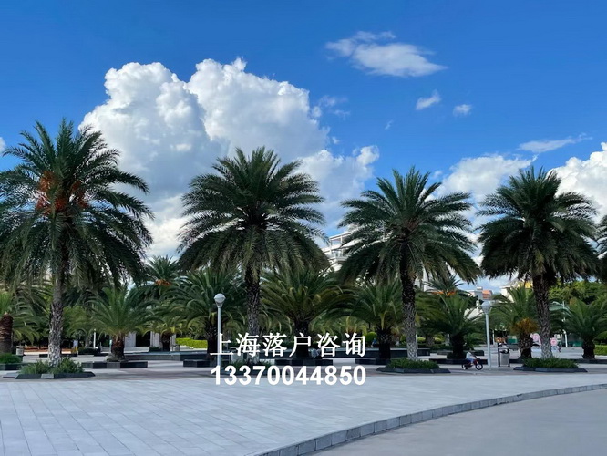 特殊<a href=