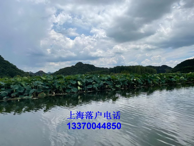 收养落户 