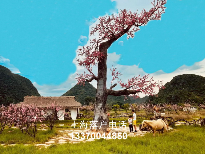 上海户籍政策 undefined