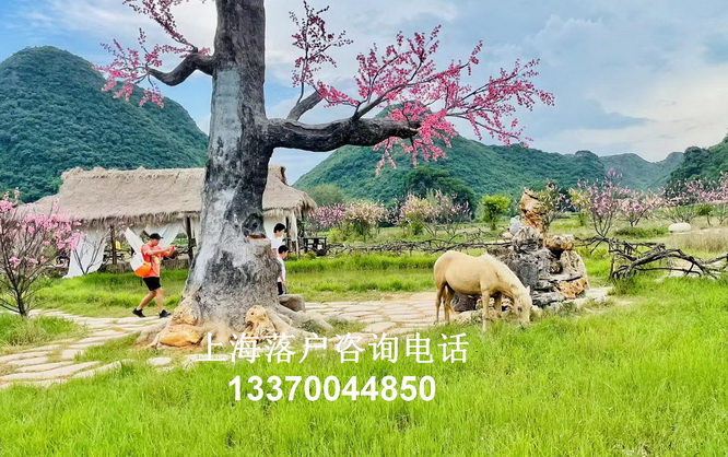 上海市居住证积分模拟打分计算器
