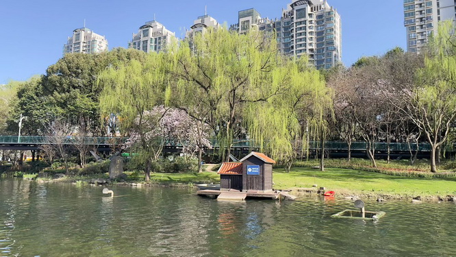 上海市居住证积分模拟打分计算器