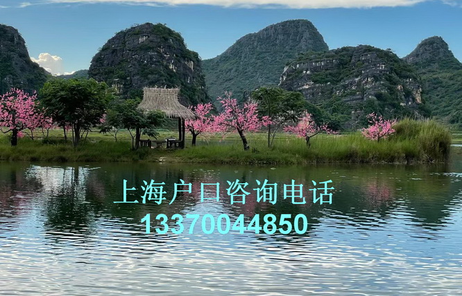 上海市居转户落户,undefined