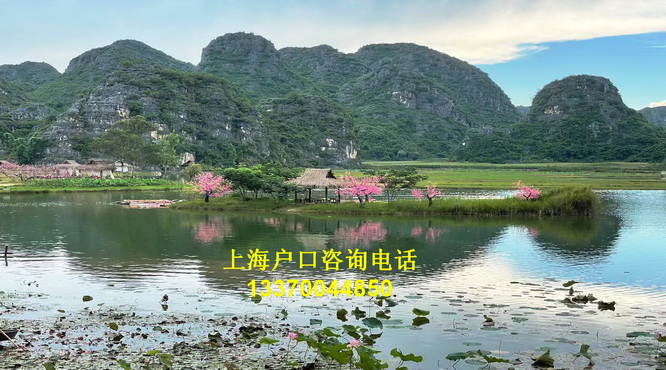 集体户口落户上海undefined