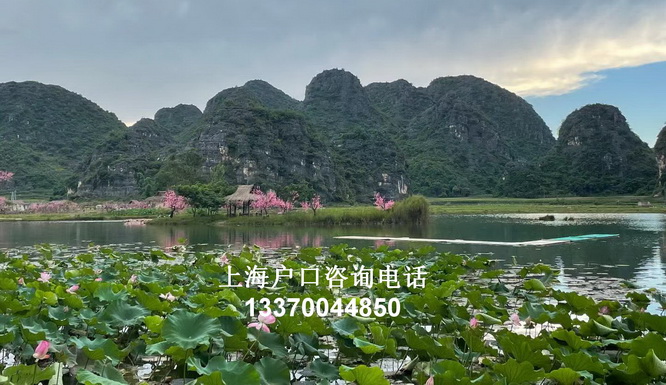 外省人员怎么落户上海undefined