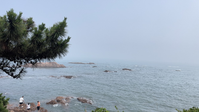 公积金上海,undefined