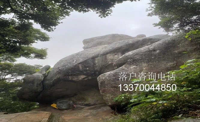 老人无子女落户 undefined