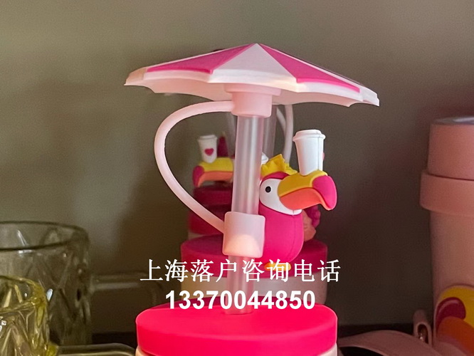 上海市居住证积分模拟打分计算器