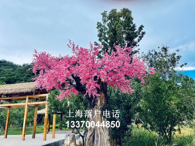 重磅！中国发布统一大市场建设指引