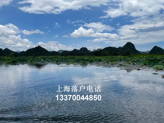 留学生落户上海 undefined