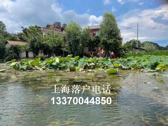 中级职称 undefined