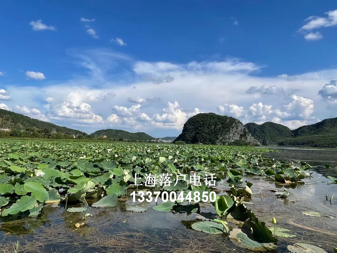留学生落户北京 undefined