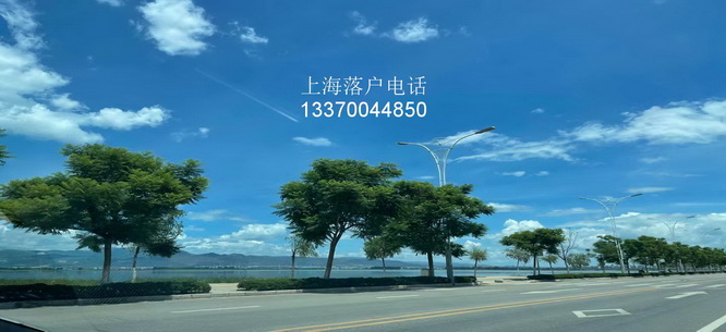 上海户籍新政策 undefined
