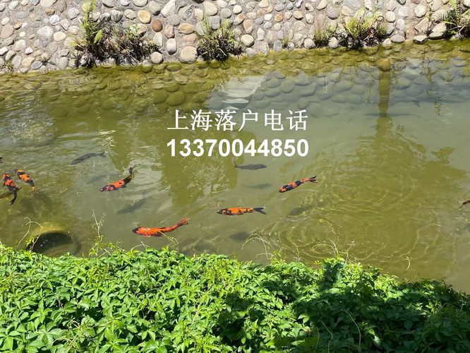 特殊<a href=