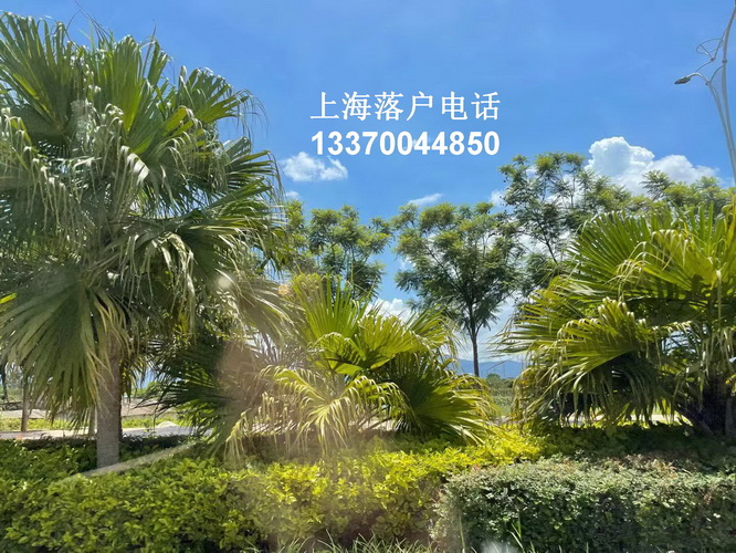 超训落户网 undefined