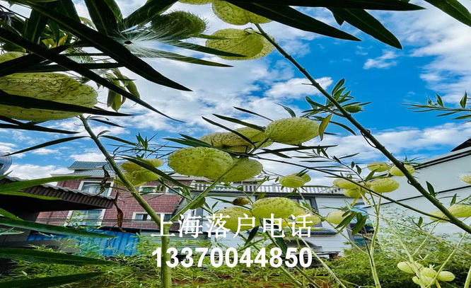 上海个人所得税计算器,undefined