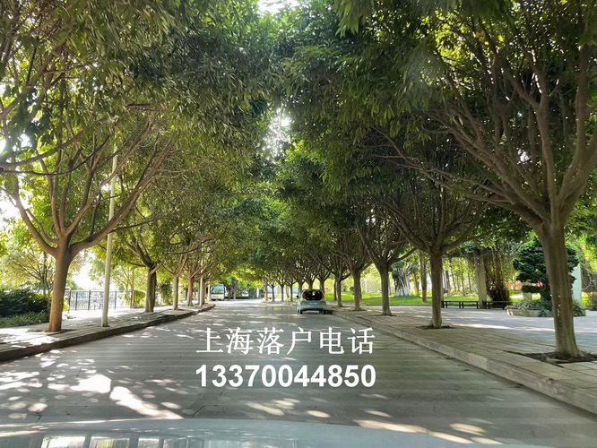 上海人才引进落户流程,undefined