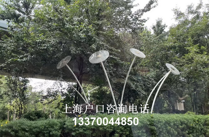 上海居住证积分模拟打分计算器,undefined
