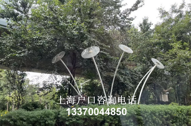 活动｜“物种进太空”工程引领科学探索飞向星辰