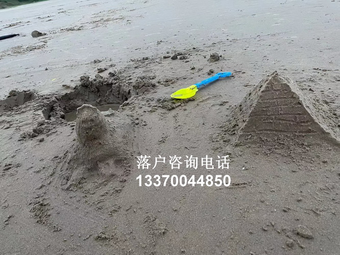 博士落户上海 undefined