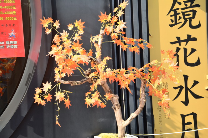 阿根廷留学,undefined