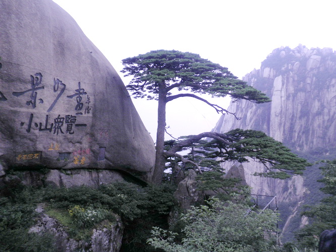 俄罗斯留学,undefined
